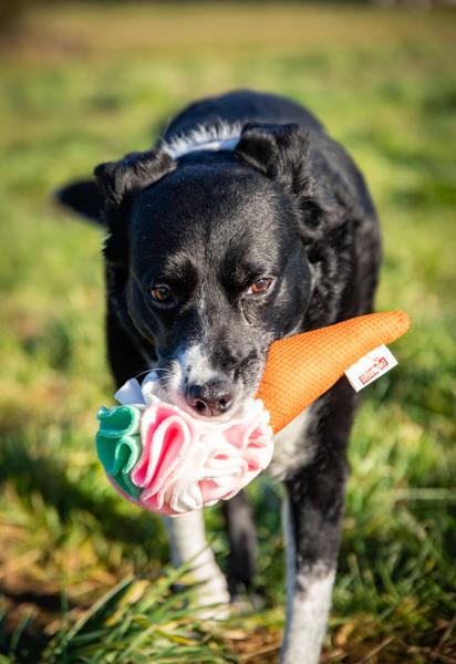 Cooling Snuffle Ice Cream Dog Toy