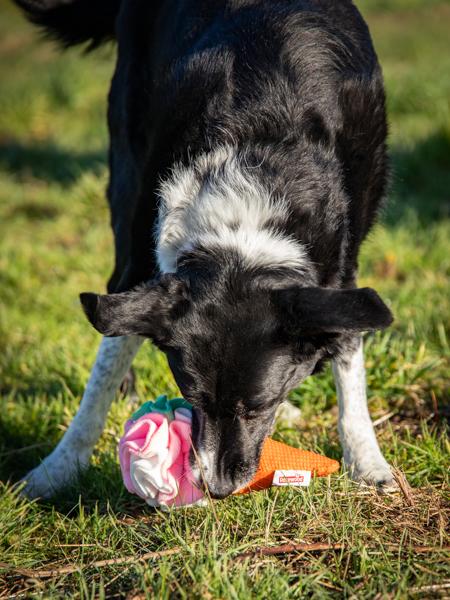 Cooling Snuffle Ice Cream Dog Toy