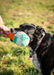 Cooling Snuffle Ice Cream Dog Toy