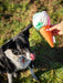 Cooling Snuffle Ice Cream Dog Toy