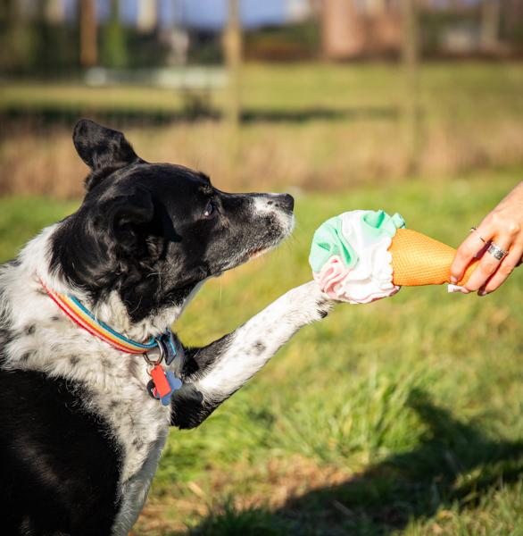 Cooling Snuffle Ice Cream Dog Toy