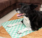 Dog lying on a green checkered cooling mat 