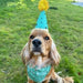 Birthday Dog Hat & Bandana Set
