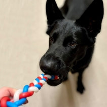 Ancol Viva Glow In The Dark Knot
