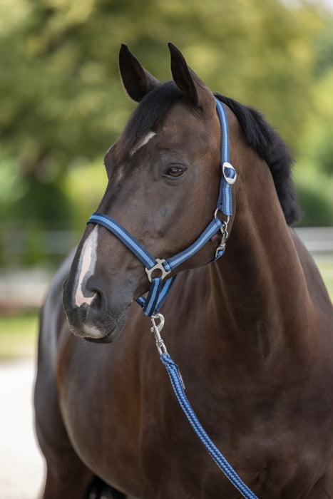 Covalliero Halter Hippo Navy & Blue