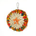 Boredom Breaker Rainbow Raffia Preener Bird Toy