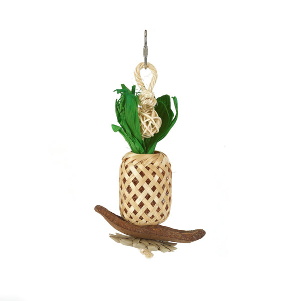 Boredom Breaker Pineapple Lantern Bird Toy
