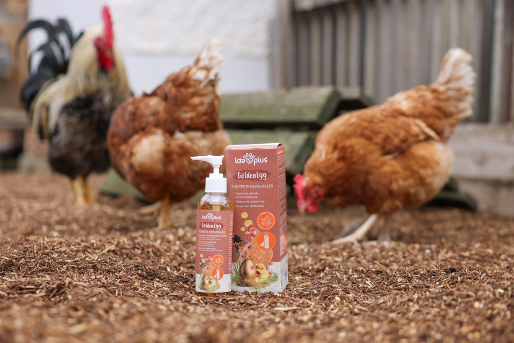 Ida Plus Golden Egg Poultry Liquid 200ml