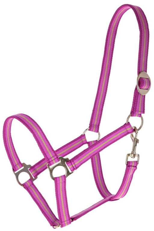 Covalliero Halter Hippo Berry & Walnut