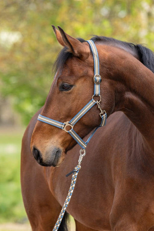 Covalliero Halter Hippo Blue & Walnut