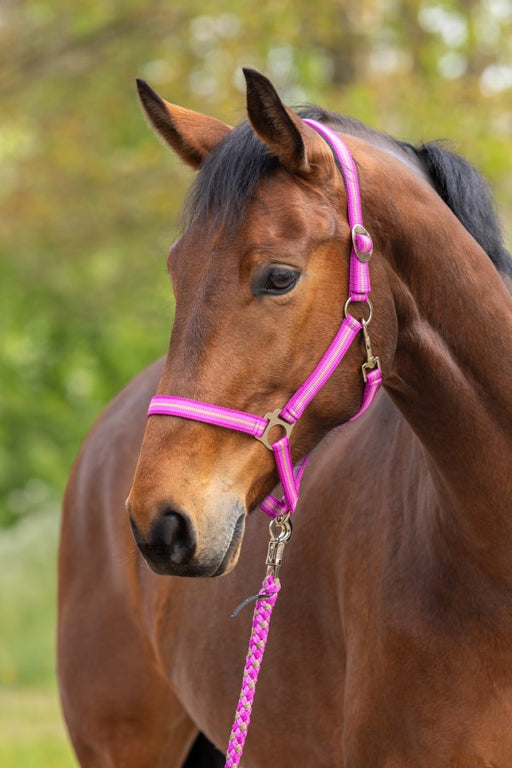 Covalliero Halter Hippo Berry & Walnut