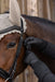 Covalliero Glove Riding Gloves Black