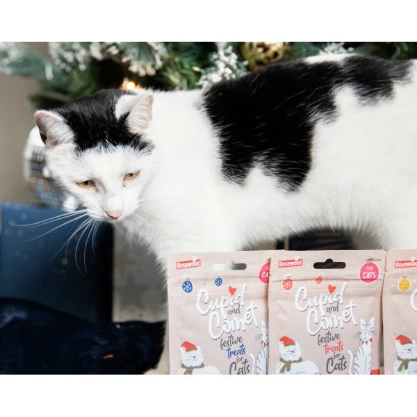 Rosewood Christmas Dinner Cat Stocking