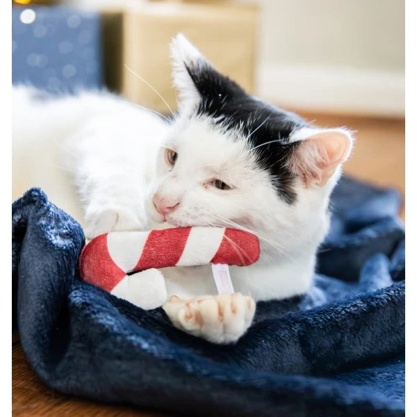 Rosewood Christmas Dinner Cat Stocking