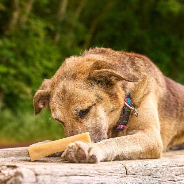 Yak Cheese With Coconut Dog Chew 35g
