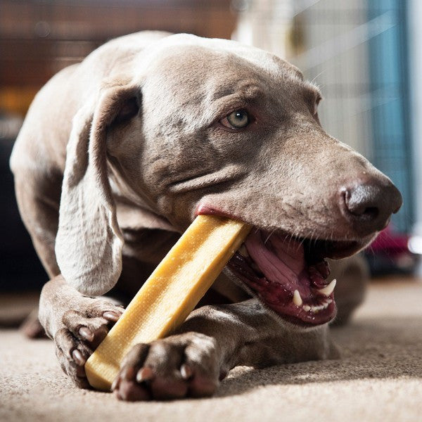Yak Cheese With Coconut Dog Chew