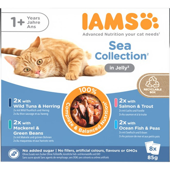 Iams Adult Sea In Jelly 8 X 85g
