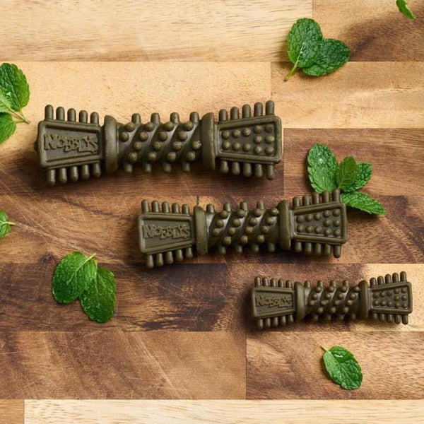 Nobblys Brush Mint 25g