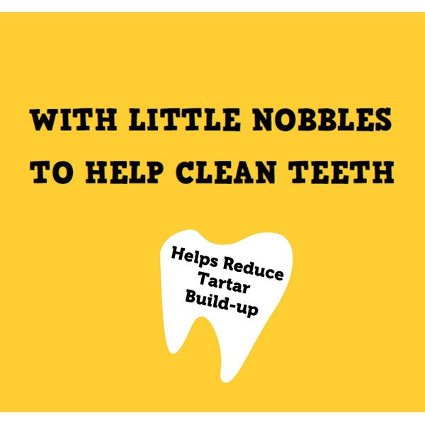 Nobblys Brush Mint 25g
