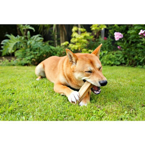 Yak Cheese With Banana Dog Chew
