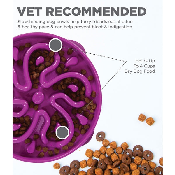 Fun Feeder Flower Purple Large