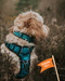 Twiggy Tags Adventure Collar Tranquil