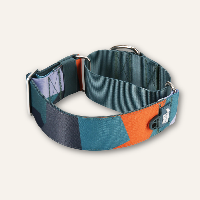Twiggy Tags Martingale Collar