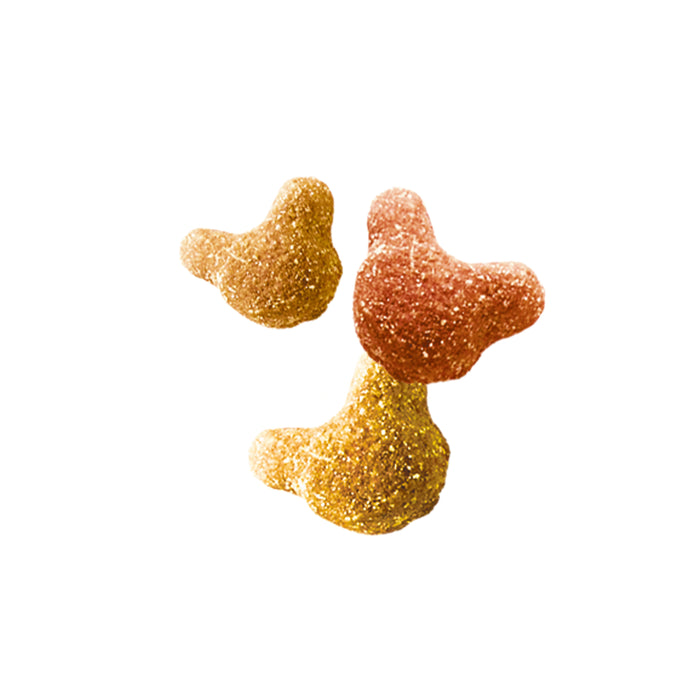 Whiskas® Crunch Cat Treats 100g