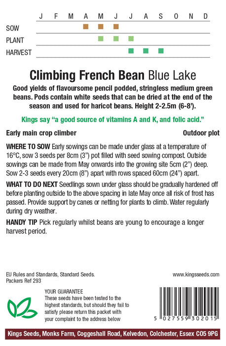 Kings Seeds Climbing French Bean Blue Lake Seeds