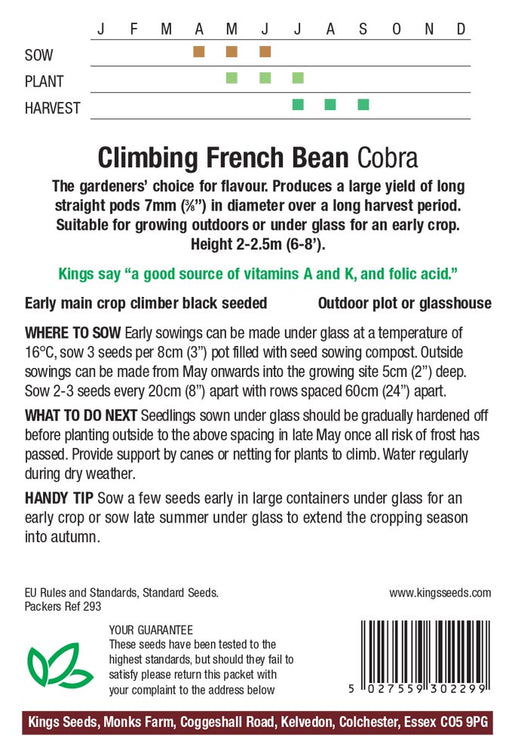Kings Seeds Climbing French Bean Cobra Seeds