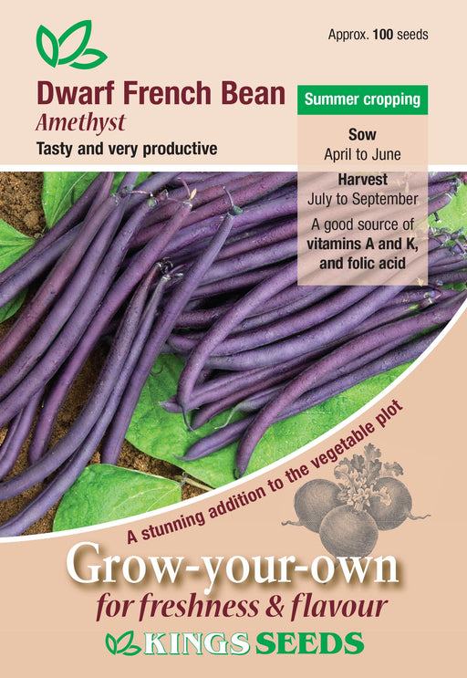 Kings Seeds Dwarf French Bean Amethyst Seeds