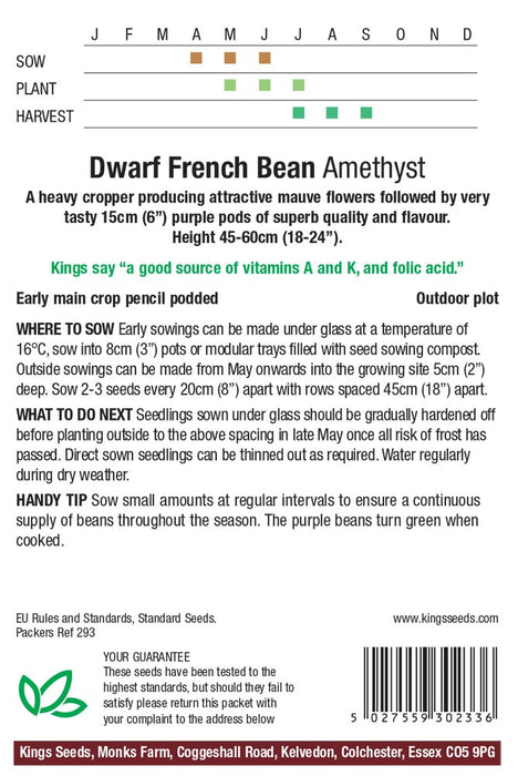 Kings Seeds Dwarf French Bean Amethyst Seeds