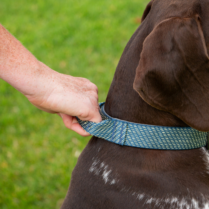 Extreme+ Collar With Handle