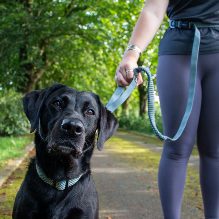 Extreme+ Running Lead Shock Absorb