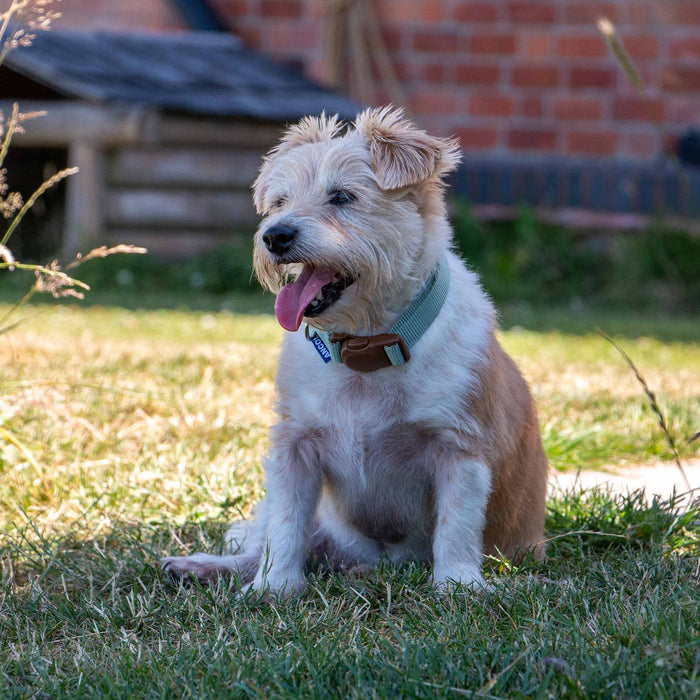 Ancol Heritage Magnetic Lock Collar Sage