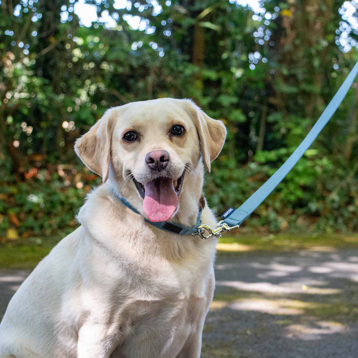 Ancol Heritage Magnetic Lock Collar Blue