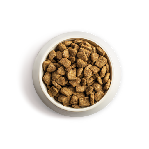 Chappie Complete Original Beef Dog Food