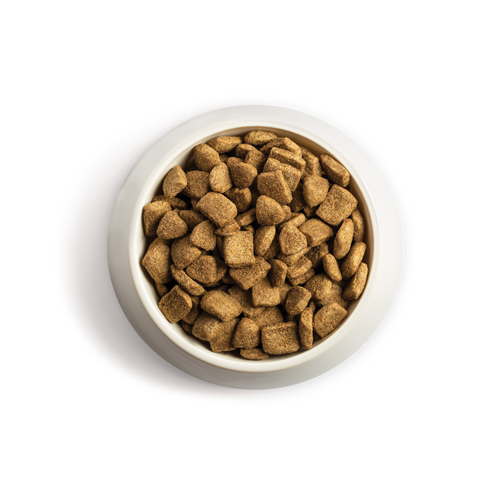 Chappie Complete Original Beef Dog Food