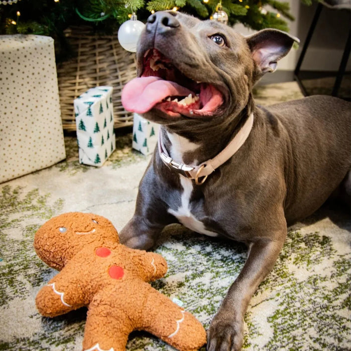 Rosewood Christmas Tufflove Gingerbread Toy