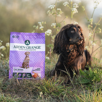 Arden Grange Adult Calming Dog