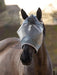 LeMieux Grey Standard Fly Mask ArmourShield Pro