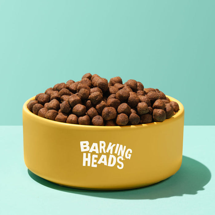 Barking Heads Bowl Lickin' Goodness