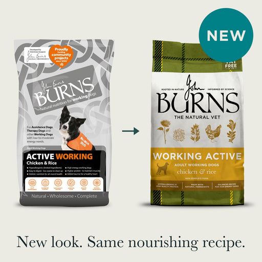 Burns Active Working Chicken & Rice Dry Dog Food