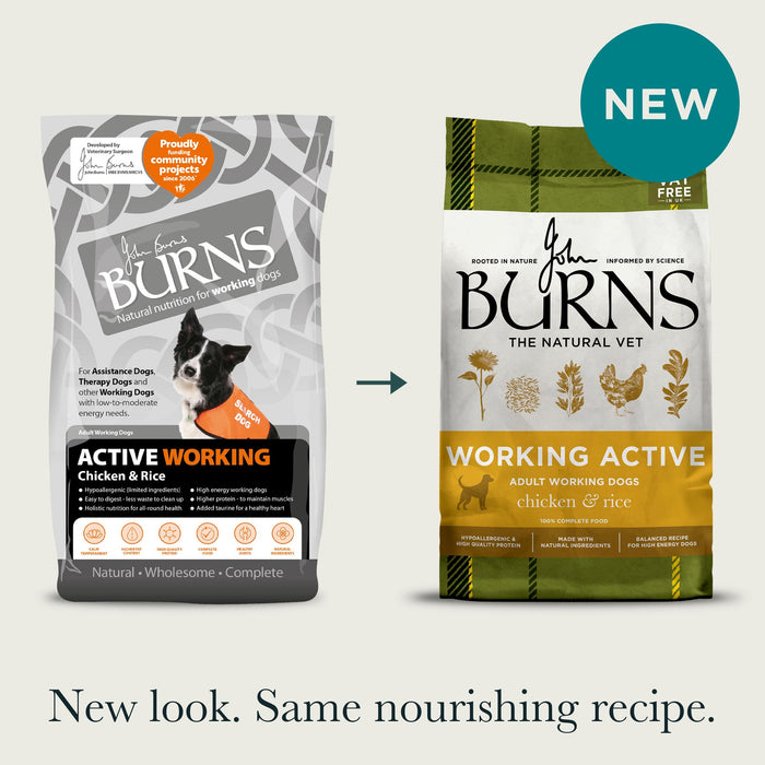 Burns Active Working Chicken & Rice Dry Dog Food