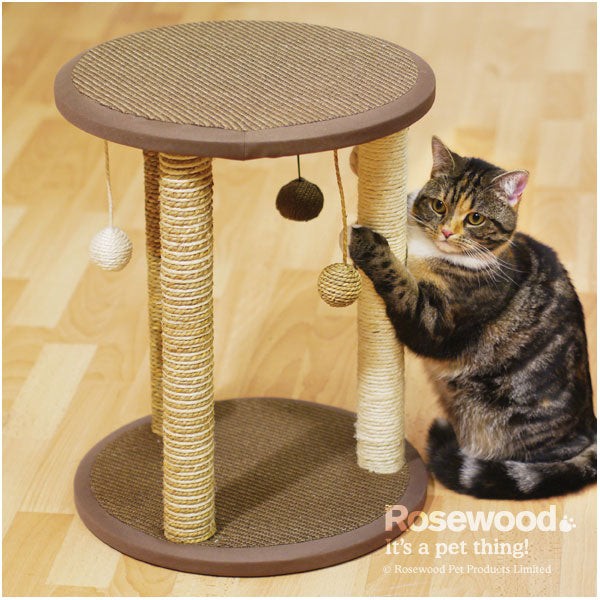 Zurich Cat Scratcher