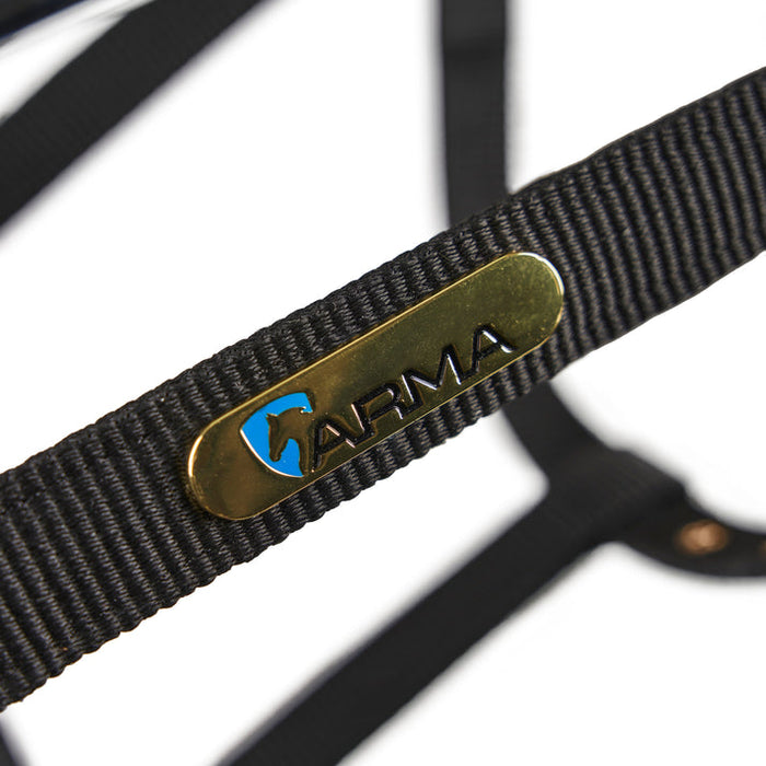 Fleece Lined Lunge Cavesson Black