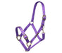 Arma Nylon Headcollar Purple