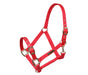 Arma Nylon Headcollar Red