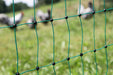 Rutland Electric Poultry Net 50m Green