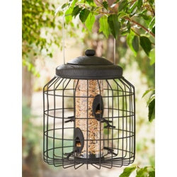 Heavy Duty Squirrel Proof Seed Feeder